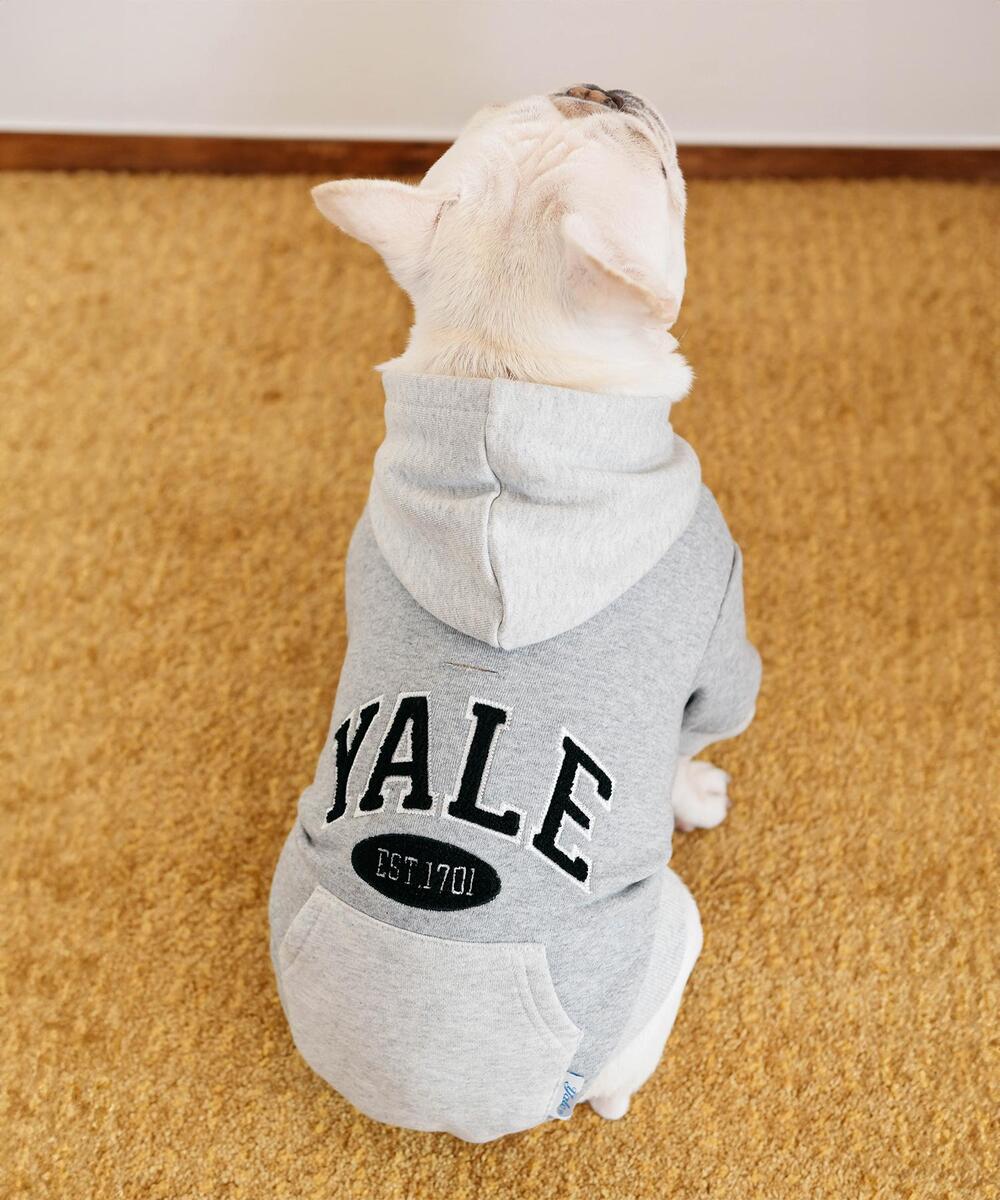 BOUCLE 2 TONE ARCH DOGGY HOODIE GRAY