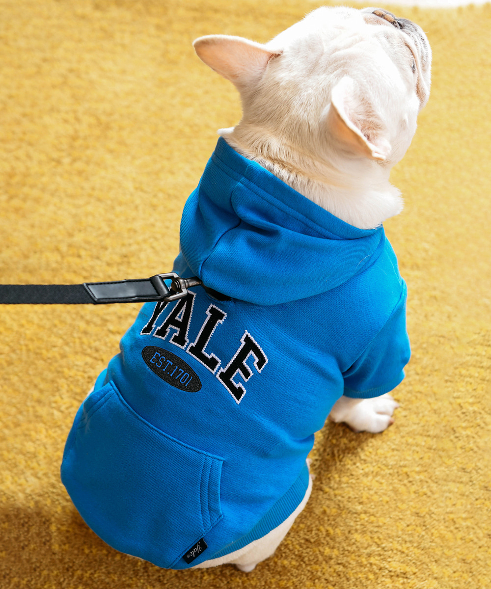 2 TONE ARCH DOGGY HOODIE STRONG BLUE